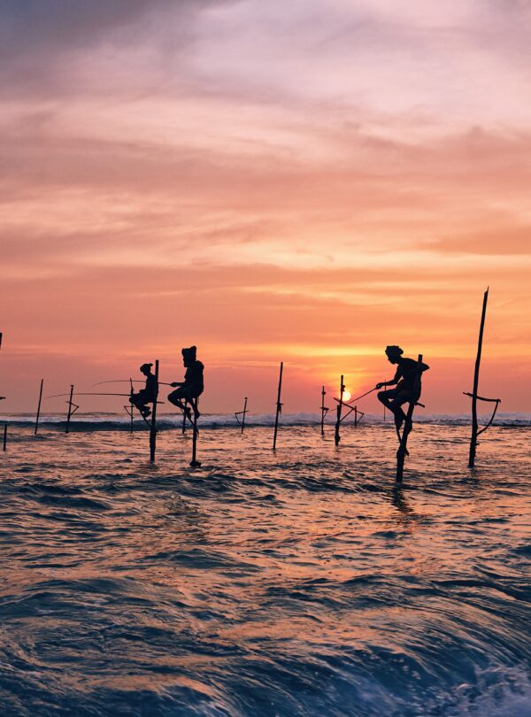 Silhouettes of the traditional fishermen. Traditional stilt fishing near Galle in Sri Lanka.